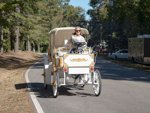 A guest riding in the park's cream horse-drawn carriage down a shaded park road