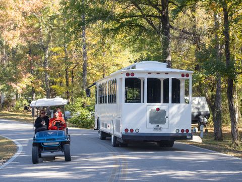 The white University Station shuttle trolley and a golf cart on a tree-lined park road in fall colors